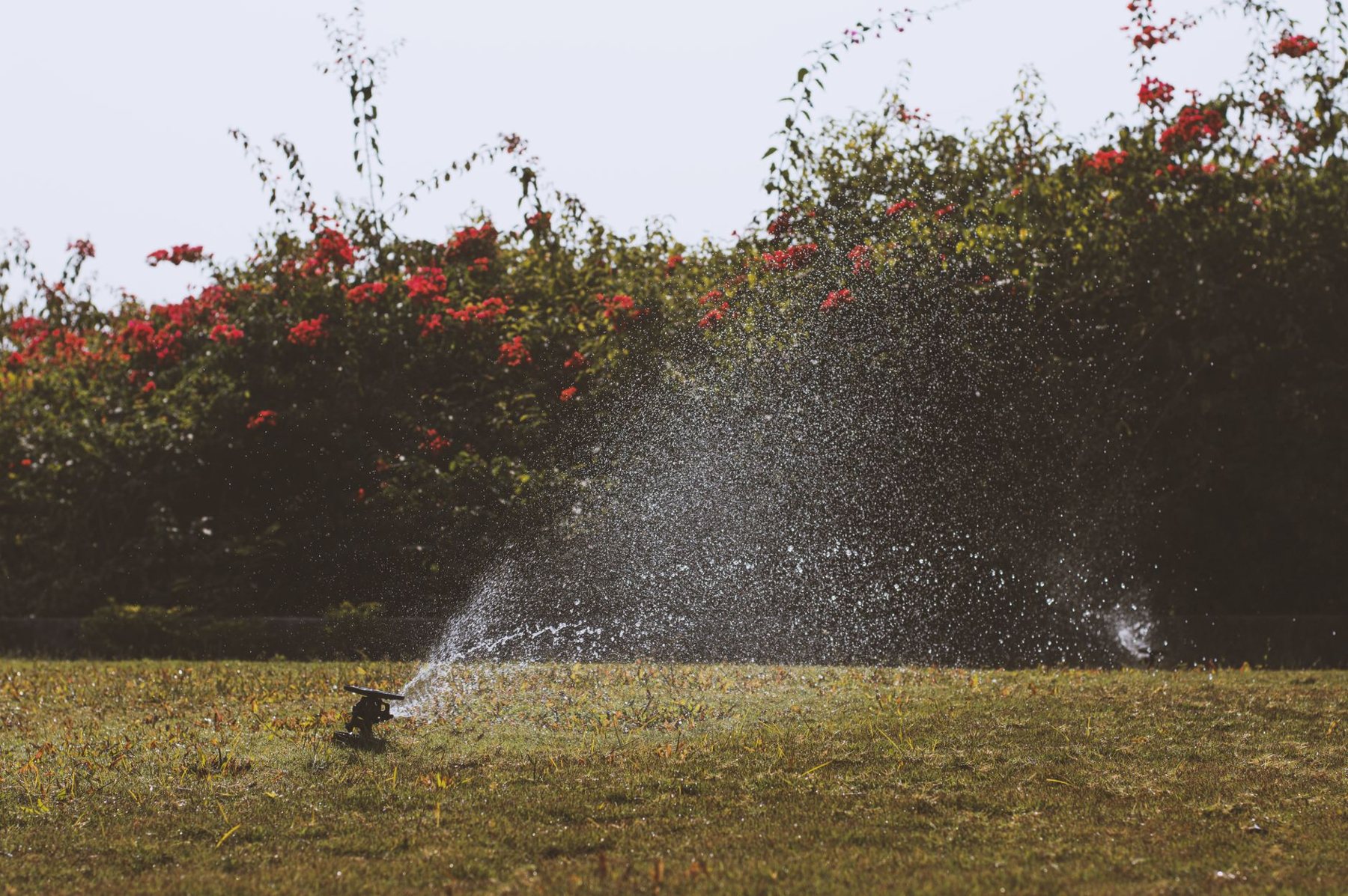 Irrigation & Drip Systems in Goodyear AZ