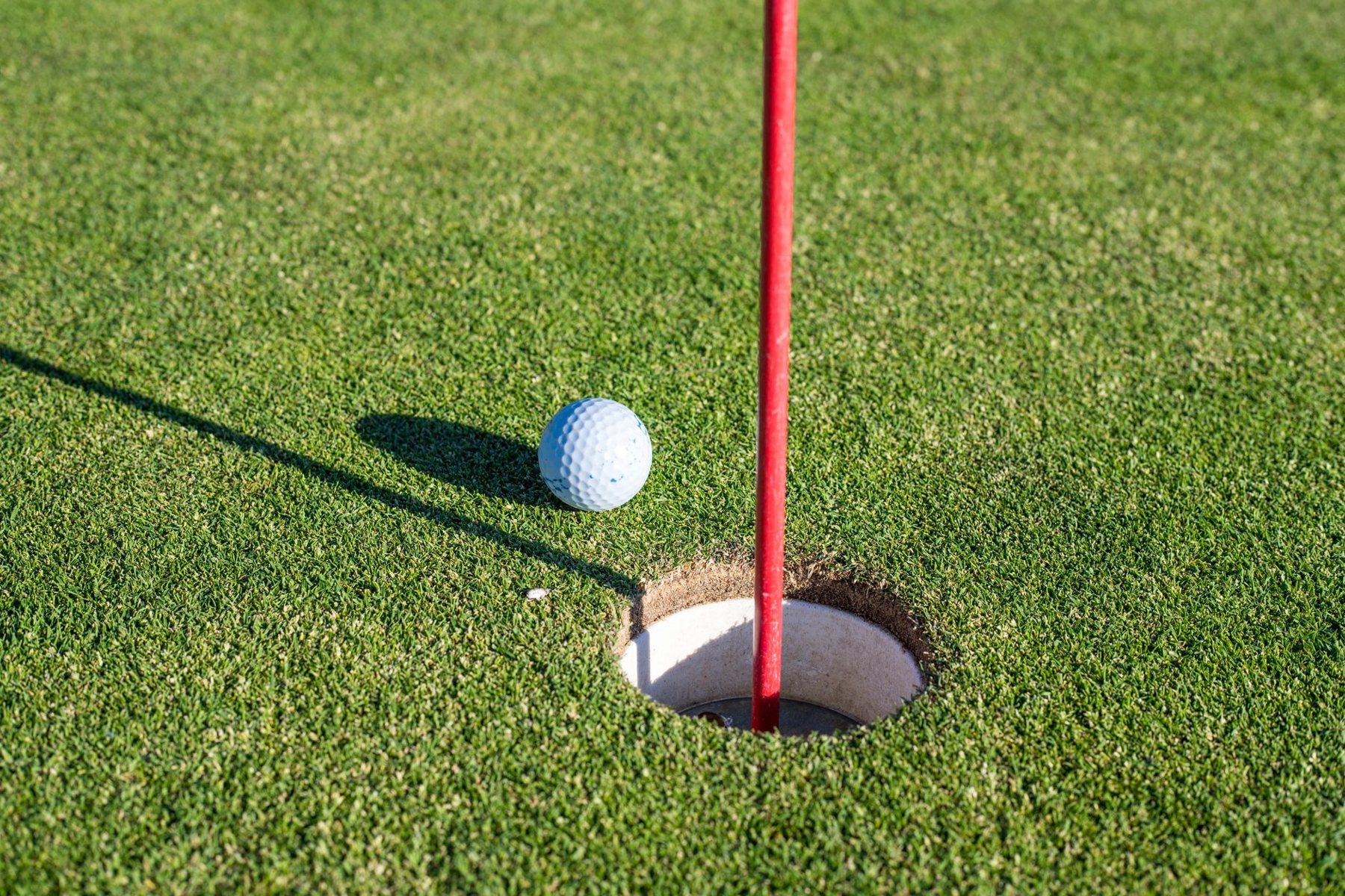 Synthetic Putting Greens in Goodyear AZ