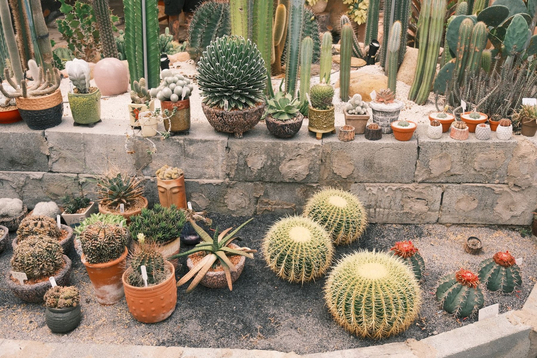 Retaining Walls & Planters in Goodyear AZ